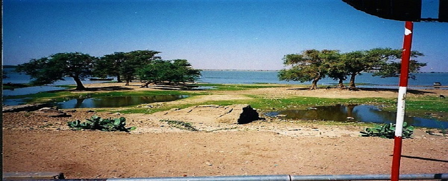Mosahamet El Behera
