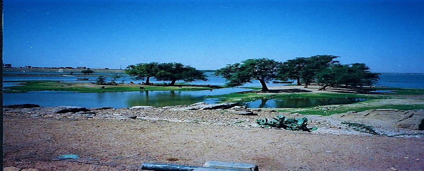 Mosahamet El Behera